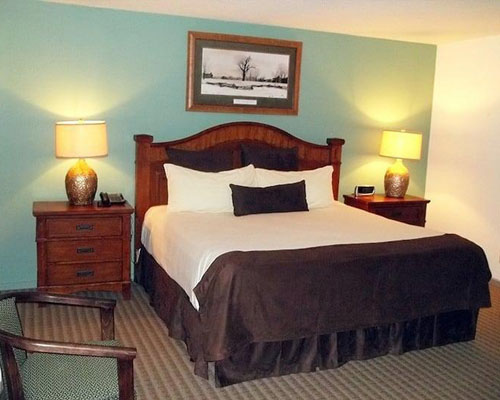 North Carolina Fox Run