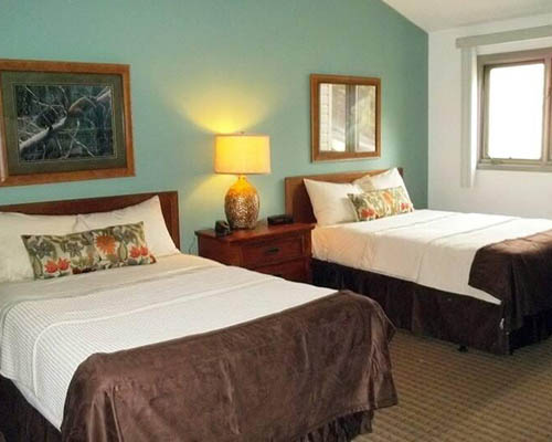 North Carolina Fox Run