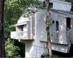 North Carolina Fox Run